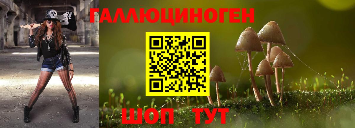 Галлюциногенные грибы прущие грибы  купить наркоту  Светлоград  Галлюциногенные грибы Psilocybe  Вход с VPN 