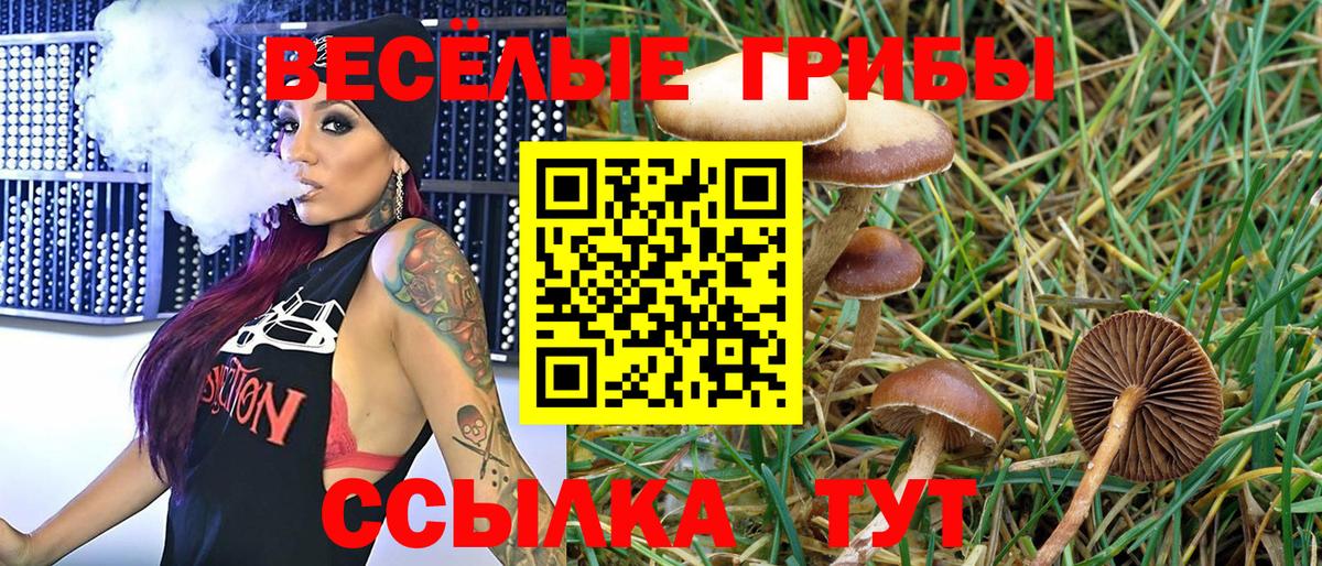 Галлюциногенные грибы MAGIC MUSHROOMS Светлоград